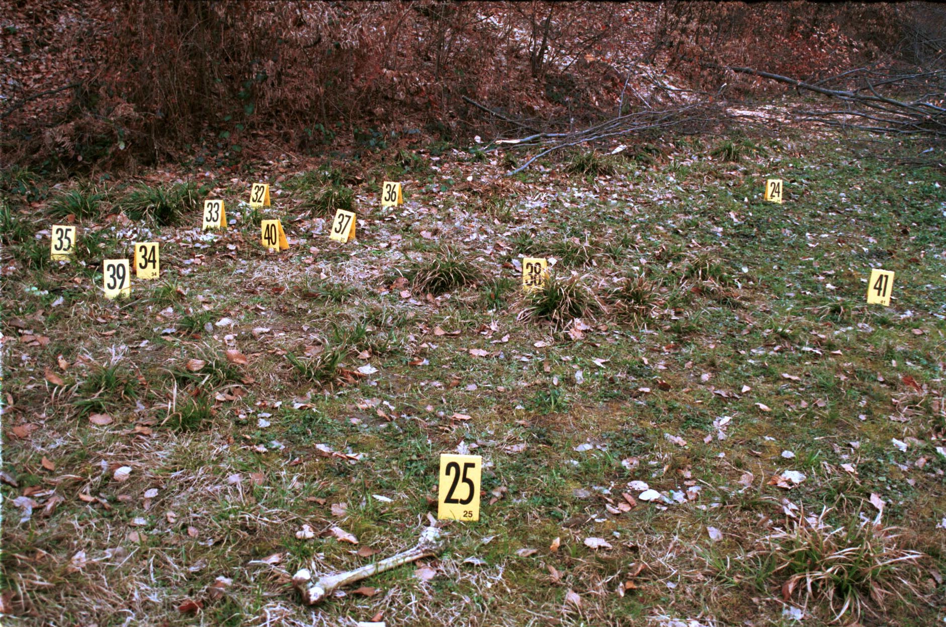 Kosti pronađene na lokaciji masovne grobnice u Orahovcu